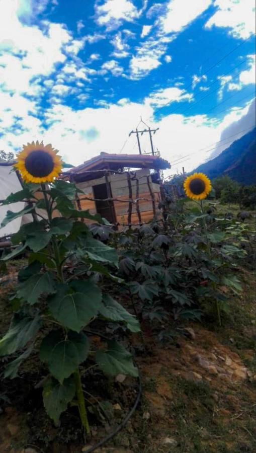 Hostal Las Valkirias Matanza Zewnętrze zdjęcie
