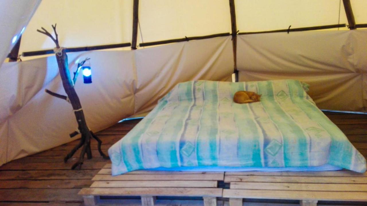 Hostal Las Valkirias Matanza Zewnętrze zdjęcie